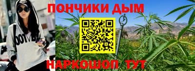 PSILOCYBIN Заводоуковск