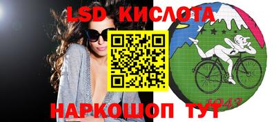 PSILOCYBIN Заводоуковск