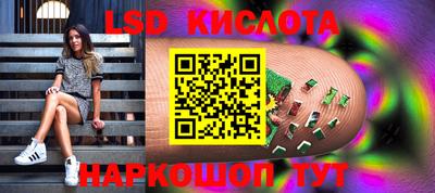 PSILOCYBIN Заводоуковск