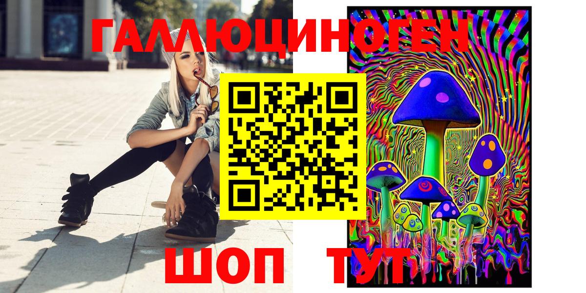Волоколамск  Псилоцибиновые грибы Psilocybine cubensis  Вход с VPN 