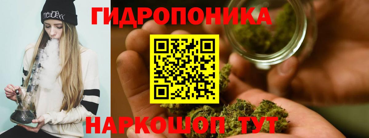 Бошки марихуана Amnesia Волоколамск